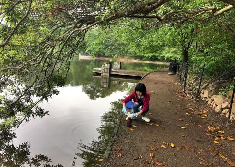 Retrieving water samples to study bacteria